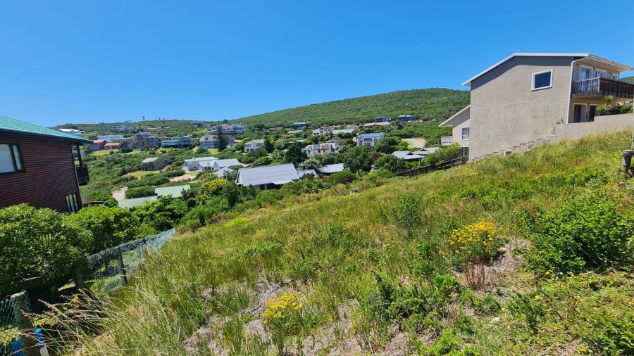 0 Bedroom Property for Sale in Brenton On Sea Western Cape